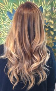 Tortoiseshell Brown Hair with Honey Blonde Highlights