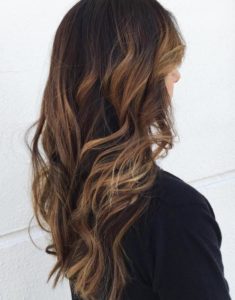 Light brown highlights on black hair