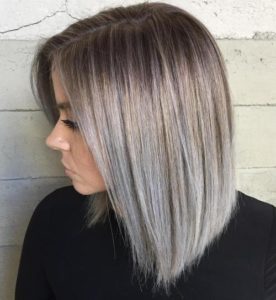 Best Silver Highlights 2019 Photo Ideas Step By Step