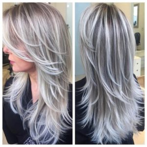 Best Silver Highlights 2019 Photo Ideas Step By Step